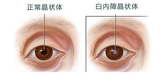 圖片1.png 圖片1.png